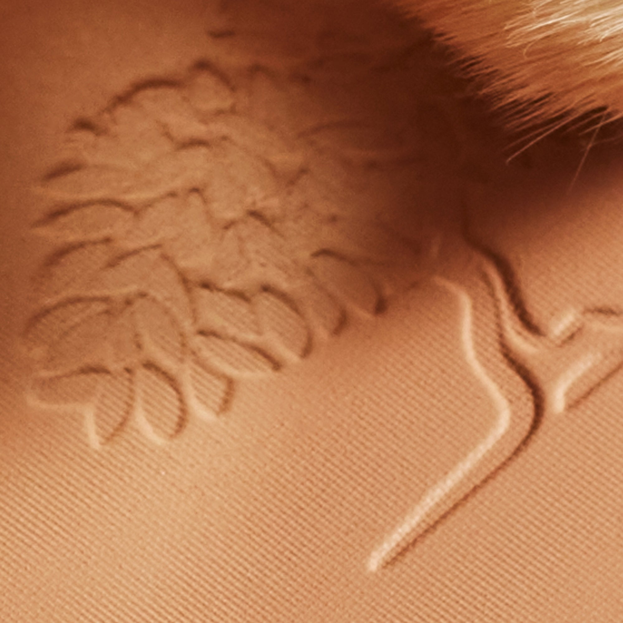 Poudre éclat Prodigieux® - NUXE