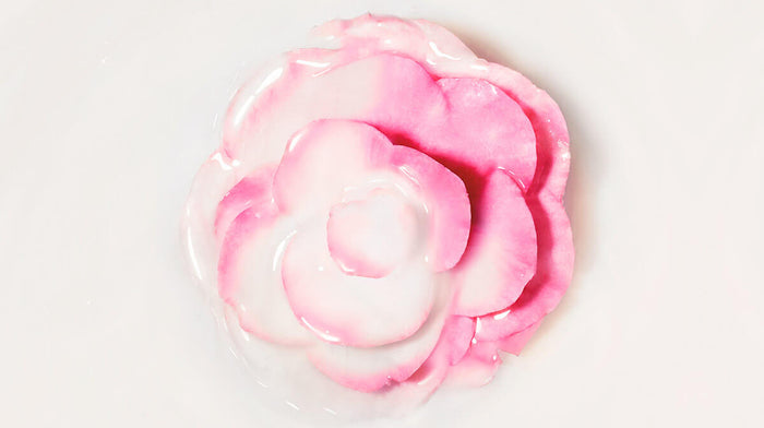 une fleur rose prise de haut