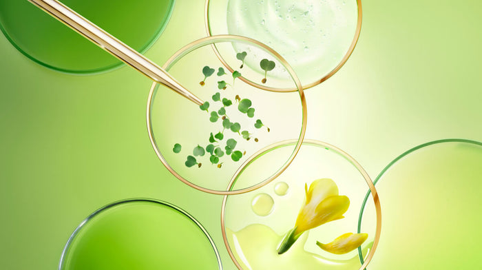 ingrédients et pipette